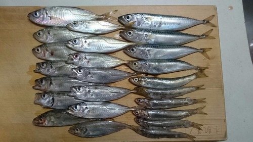 1501361672351.jpg