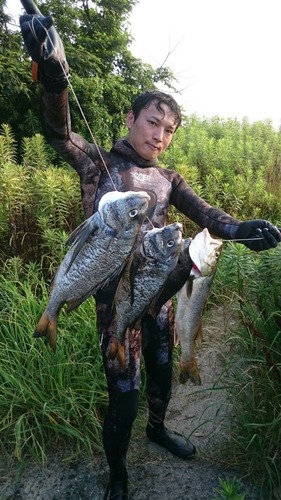 今年の魚突きを振り返って 肉と魚と野菜を求めてハンターライフ