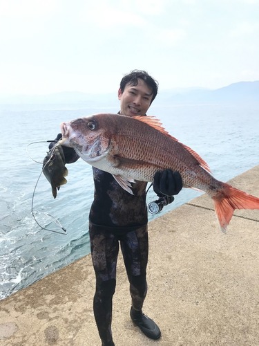 先日の日本海での魚突きは大漁でした 前編 肉と魚と野菜を求めてハンターライフ