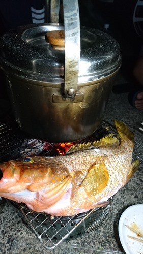 先日の日本海での魚突きは大漁でした 前編 肉と魚と野菜を求めてハンターライフ