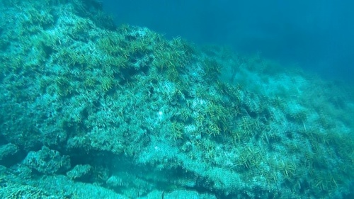 いったん浮上.jpg