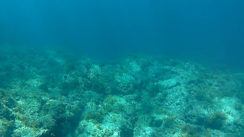 気持ちいい.jpg