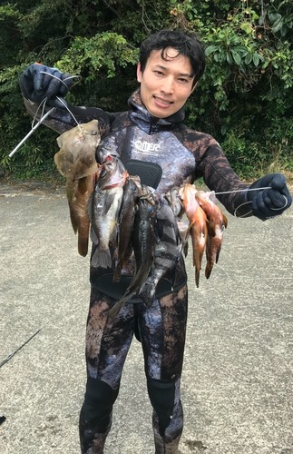 先日の日本海での魚突きは大漁でした 前編 肉と魚と野菜を求めてハンターライフ