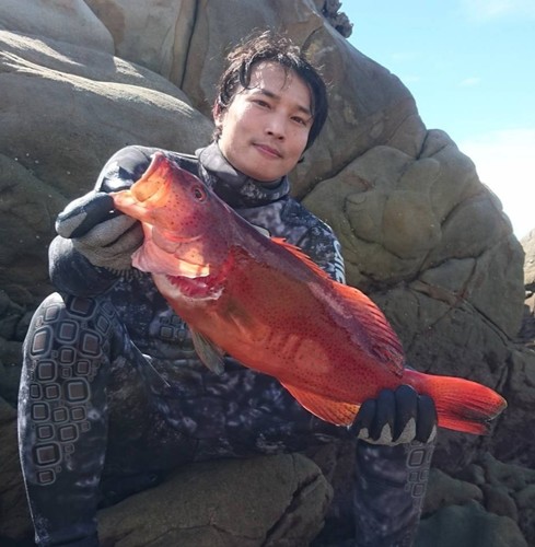 先日の日本海での魚突きは大漁でした 前編 肉と魚と野菜を求めてハンターライフ