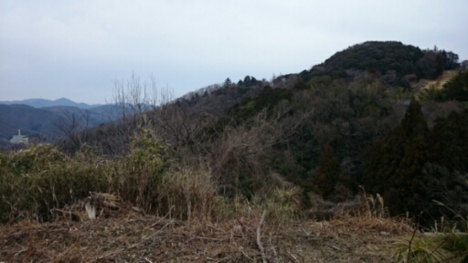 201703072123412f9.jpg